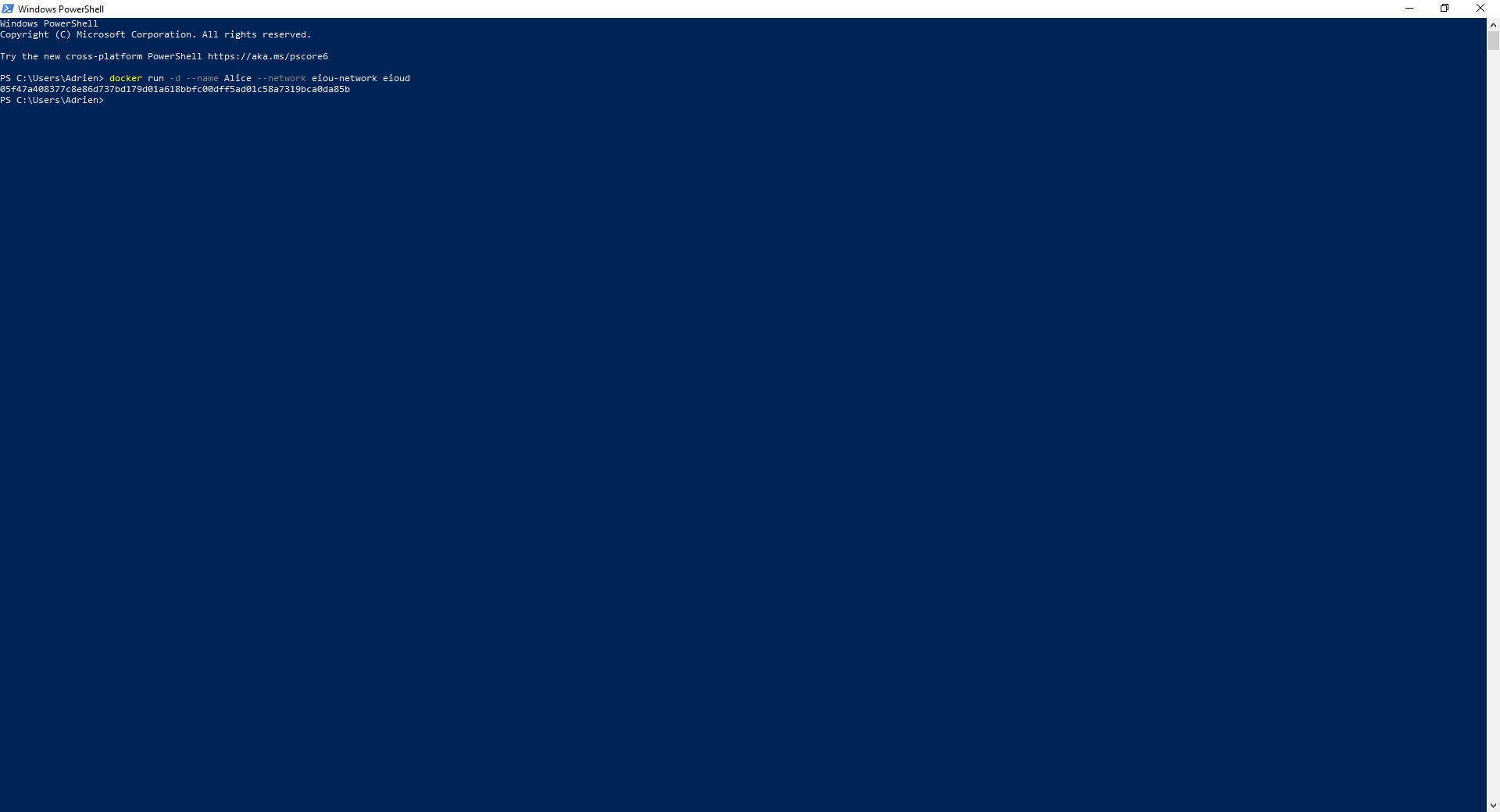 Docker setup step 4 run the eIOU container example