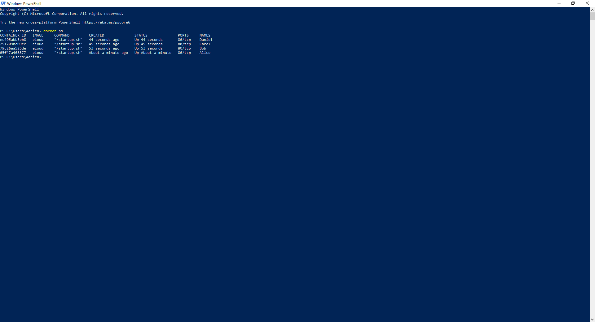 Docker setup step 5 verify containers are running example