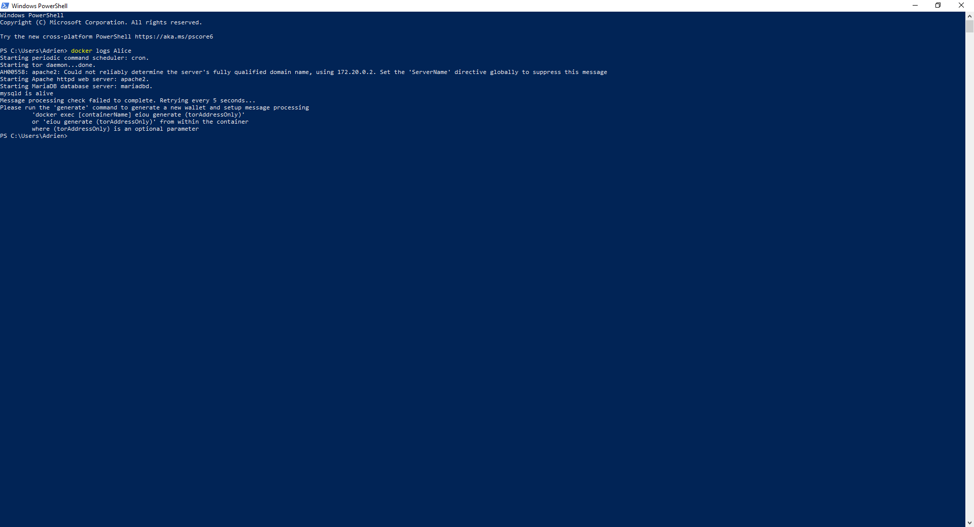 Docker setup step 6 check container logs example
